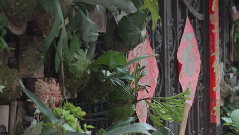 Traditional-Chinese-doorway-with-wall-plants-and-gate