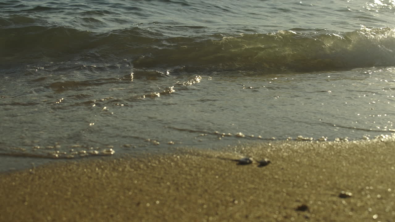 해변의 부드러운 파도