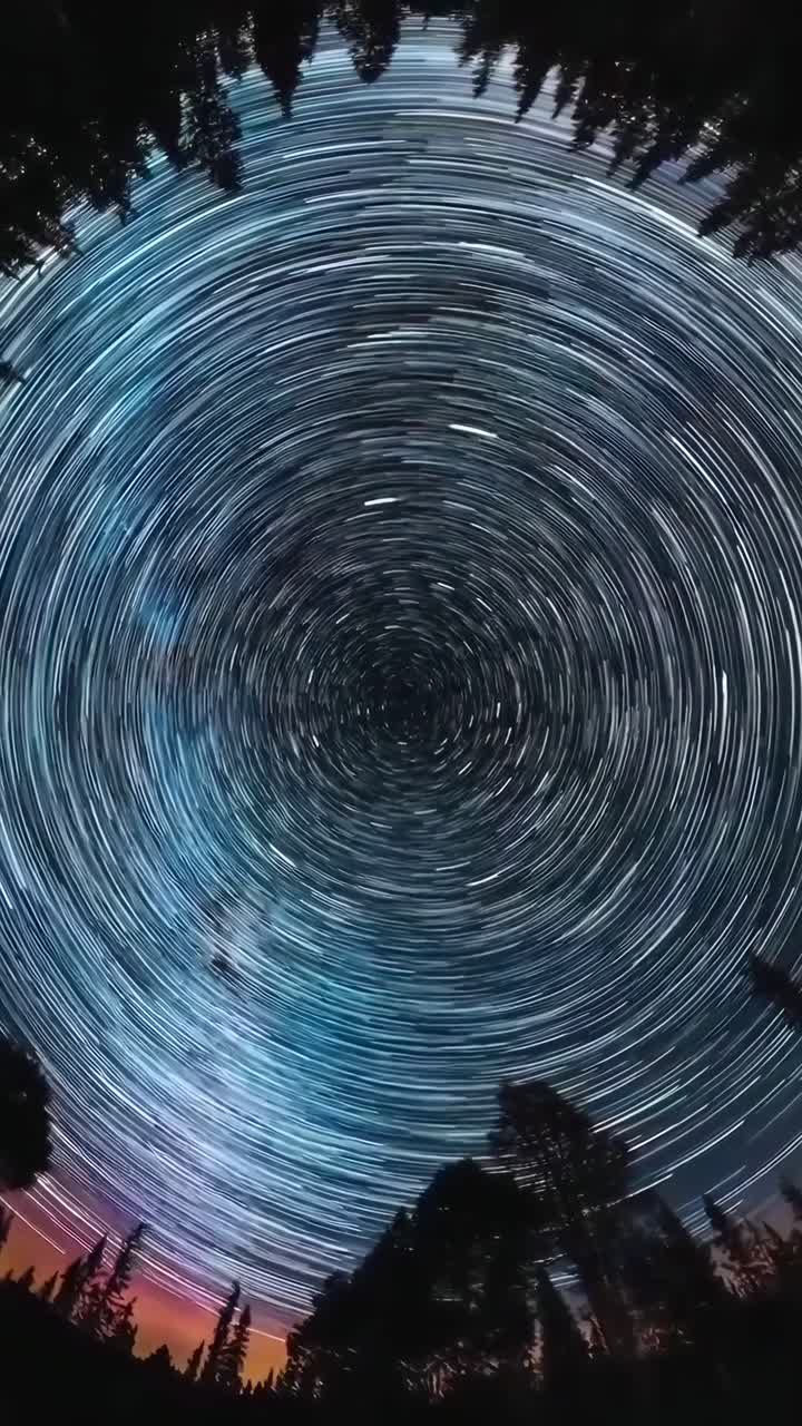 Time-lapse video of star trails in a circular pattern above silhouetted trees, upward angle
