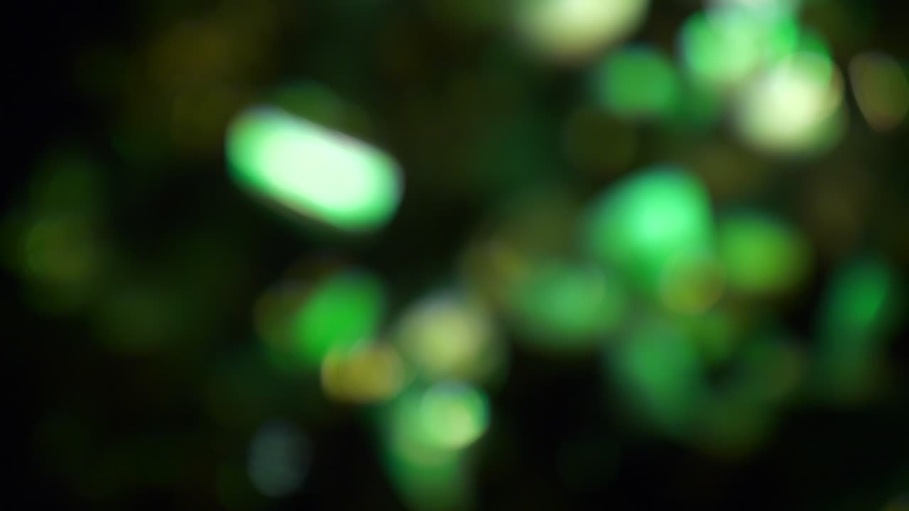 filmato di sfondo verde bokeh scuro