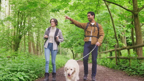 Young-couple-hiking-along-path-through-trees-in-countryside-with-pet-golden-retriever-dog-on-leash---shot-in-slow-motion