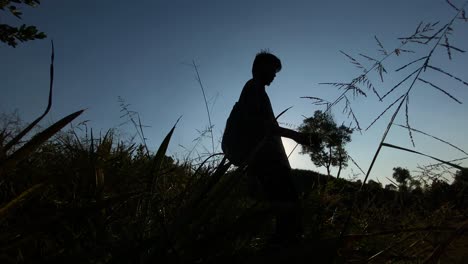 Man-walking-through-high-grass-vegetation,-silhouette-of-traveler,-bright-sun