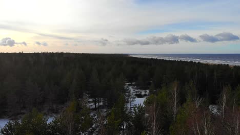 晴朗的冬天,海邊有雪覆蓋的土地,美麗的杉樹森林的景觀空中頂部景色