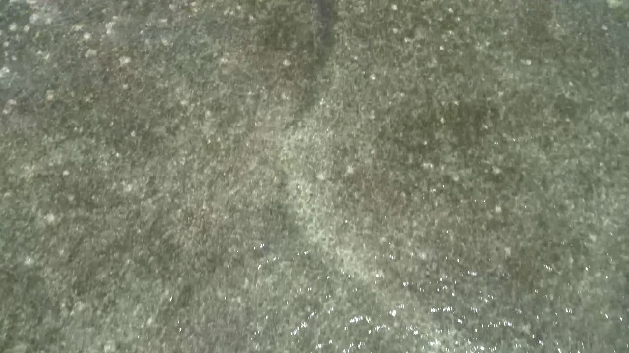 산호초 근처의 맑은 물 위로 날아가는 공중 샷