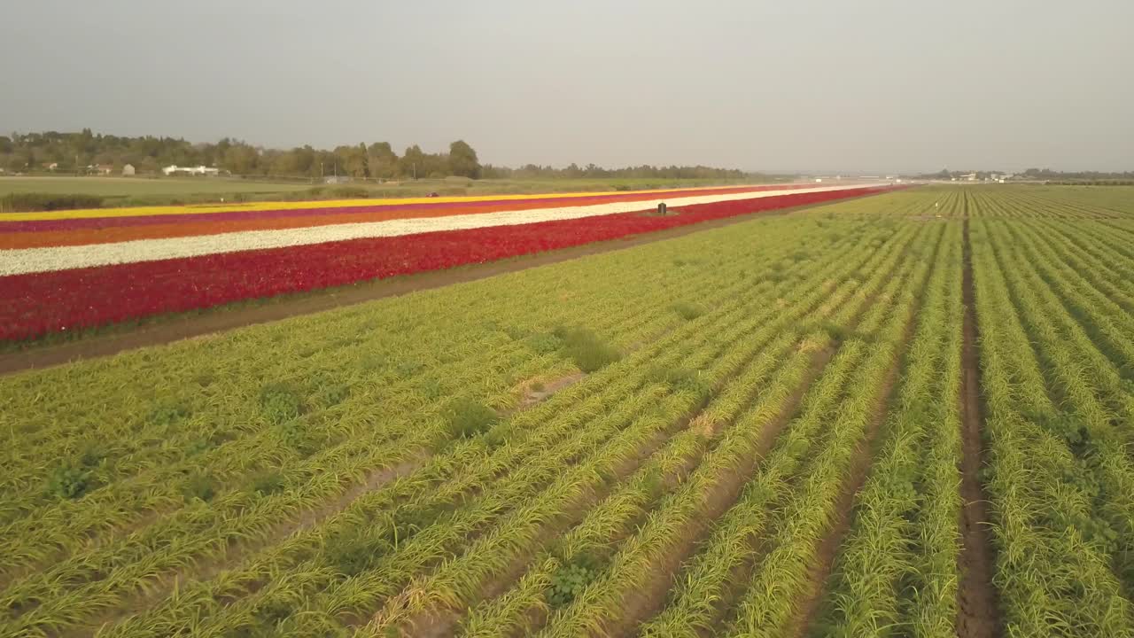 다채로운 꽃 과 농업 기계