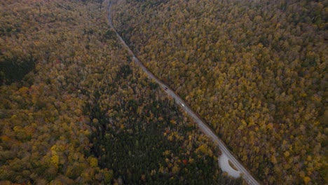 High-above-Grafton-Notch-State-park-highway-among-yellow-fall-forest