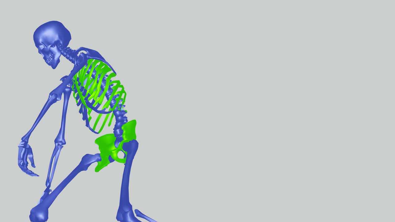 el esqueleto bailando como un profesional