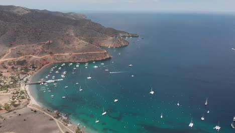 aerial view of marina bay in catalina island, many boats anchored near shore