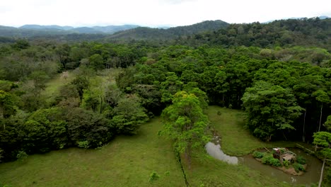 central american rainforest with farm fields- drone aerial