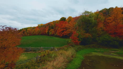 Szenische-FPV-Drohne-Aus-Der-Luft,-Die-über-Ackerland-Und-In-Einen-Farbenfrohen-Herbstwald-Fliegt