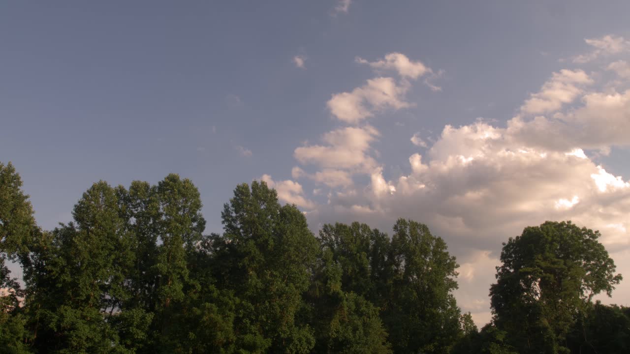 Nature canopy with passing clouds