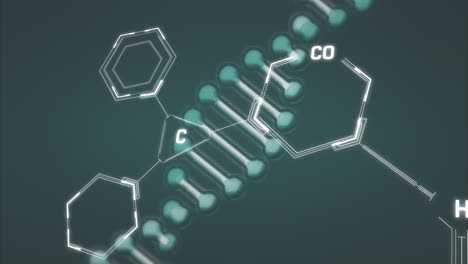 animación de la cadena de adn que gira sobre las estructuras químicas