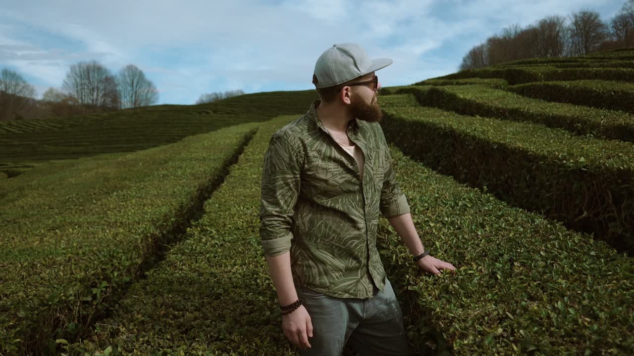 차 농장 에 있는 사람