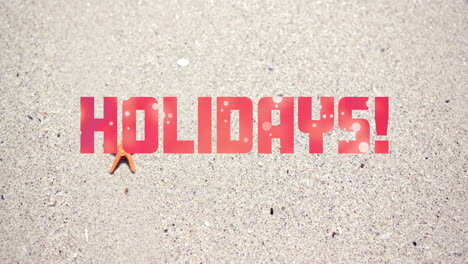 animation of holidays text over starfish on beach