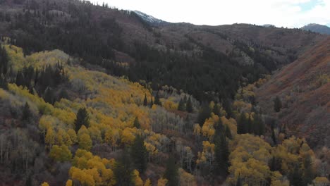 Imágenes-De-Drones-De-árboles-Coloridos-En-Las-Montañas