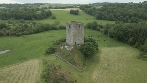 remains of carrigaphooca castle near the macroom, county cork, ireland