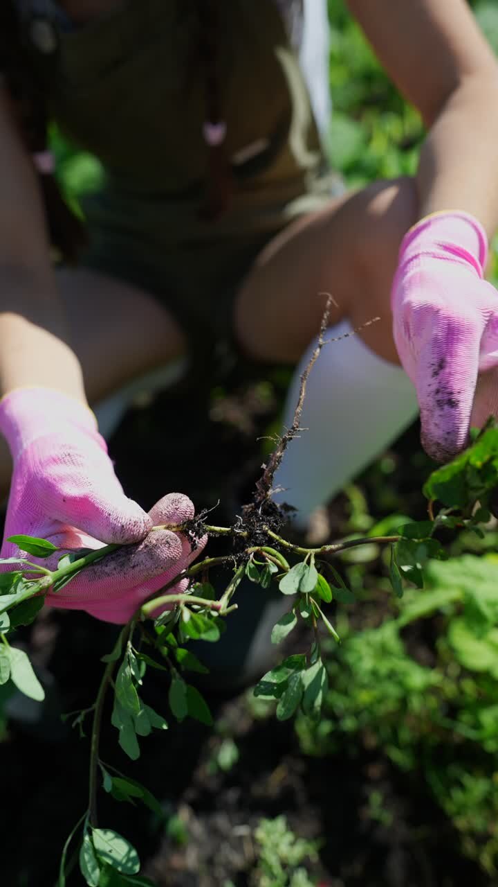 Woman removing weeds from garden