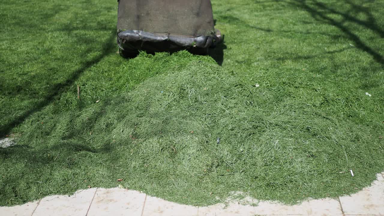 잔디 기 기계에서 잔디 절단 어리