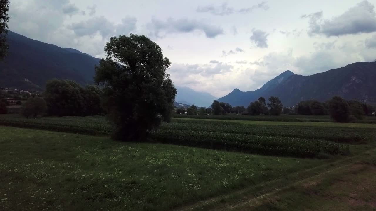 vista aérea de un campo agrícola en levico terme, italia, durante el amanecer con drones volando hacia adelante a baja altura