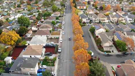 aerial view of a suburban neighborhood with autumn trees