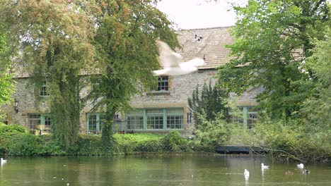 Old-traditional-cottage-along-river-in-Bakewell,-Peak-District,-England