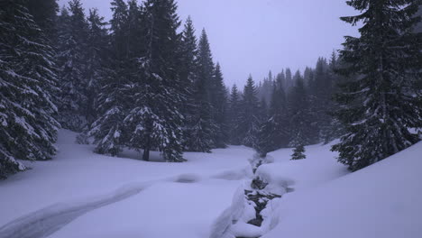 Winter-landscape-in-the-mountains,-snowfall-in-the-valley-with-a-mountain-river-almost-swallowed-by-the-big-snow-and-tall-firs-with-snow-on-the-branches