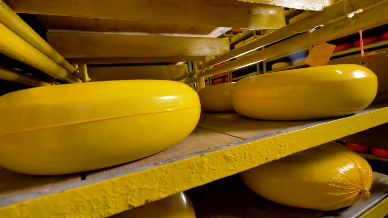 gran cantidad de queso almacenado en la fábrica de queso.