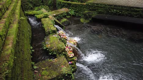 El-Agua-Bendita-Fluye-Hacia-Los-Templos-Con-Flores-En-Bali-Indonesia,-Rituales-De-Purificación-Melukat,-Mening,-Siring-Visible