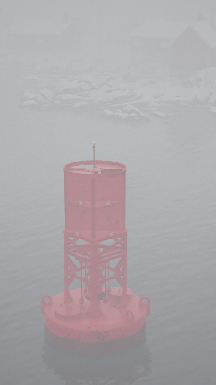 두꺼운 안개 속의 은 보이