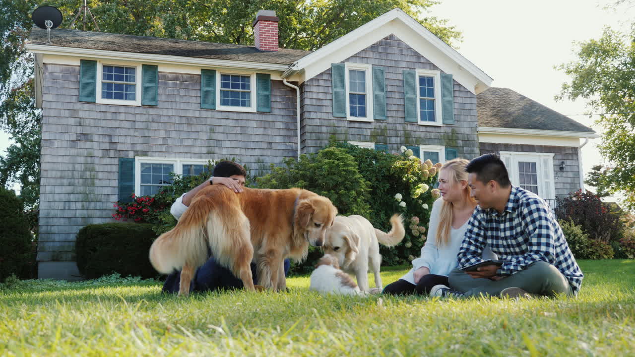 개는 친구 그룹 근처에서 놀아요