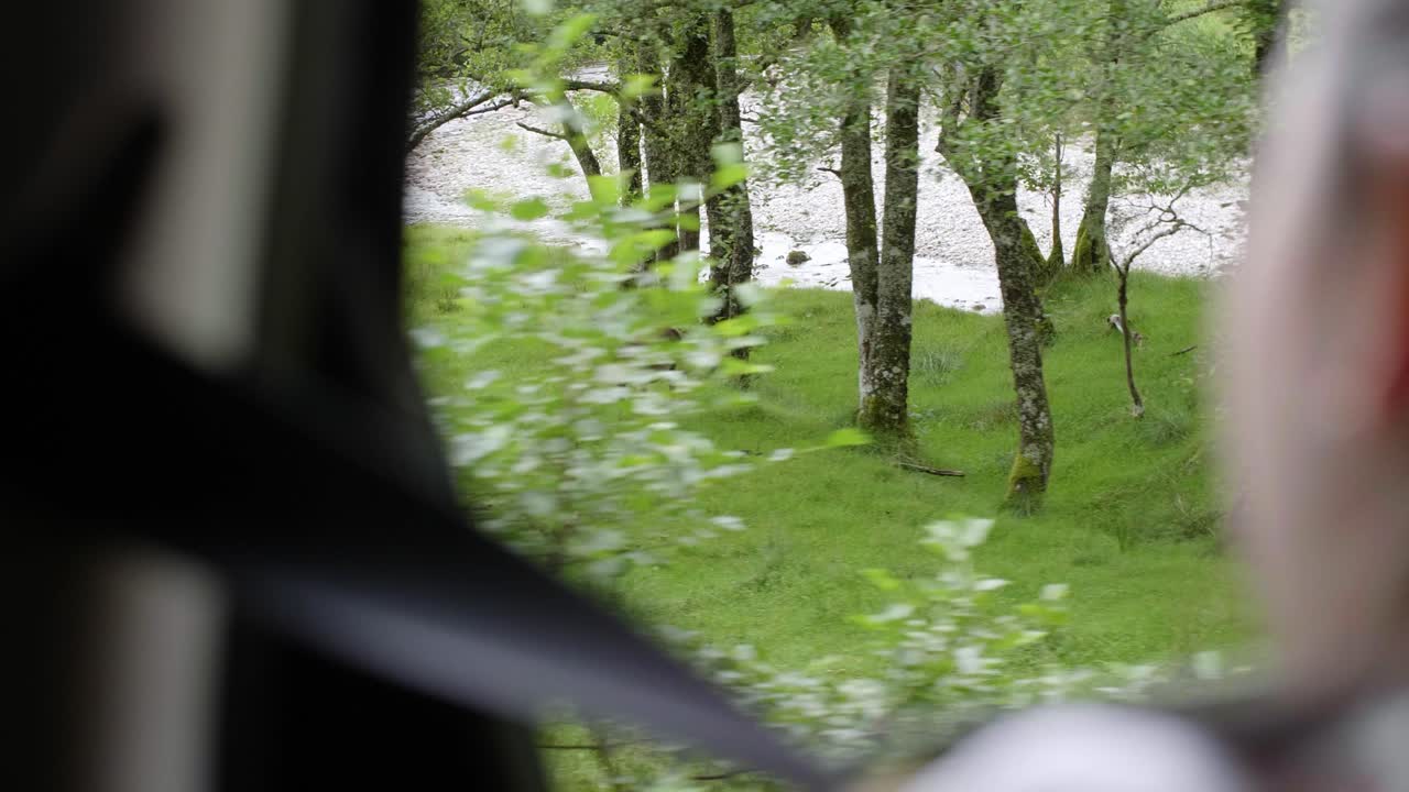 Impressive Scottish Red Deer stag seen from window of moving car