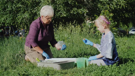 Grandmother-And-Granddaughter-Put-Flowers-Together-In-The-Yard-Active-Senior-People-Concept