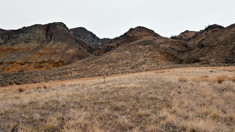 el tapiz de las praderas de la cresta de canela en kamloops