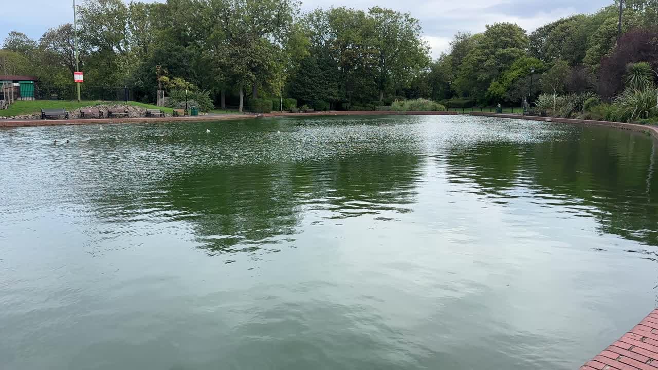 Roker park pond nature sunderland england north east uk