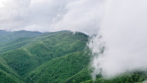 misty mountain range