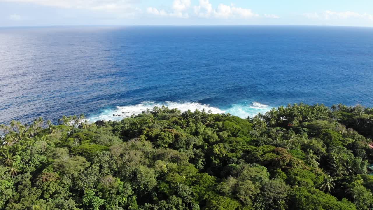 jungla y océano pacífico vistos desde arriba sin caminos o casas visibles