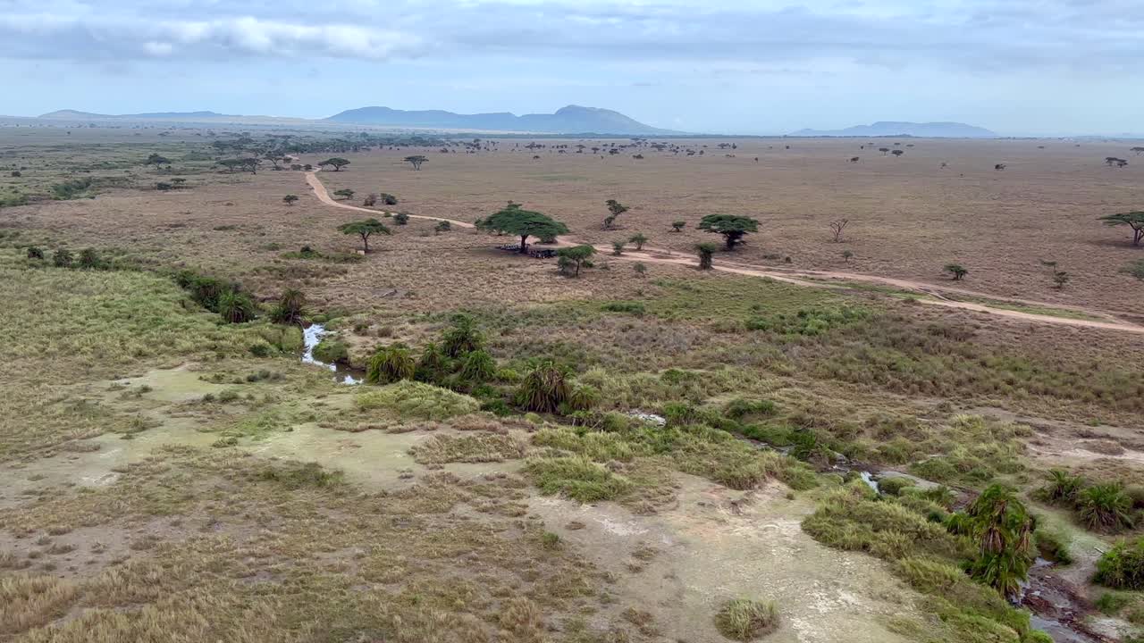 vista aérea de las llanuras del serengeti, con un en primer plano. tanzania.