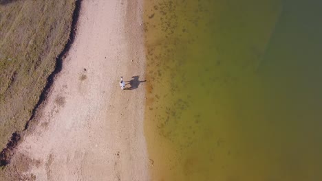 montar a caballo en una playa de arena