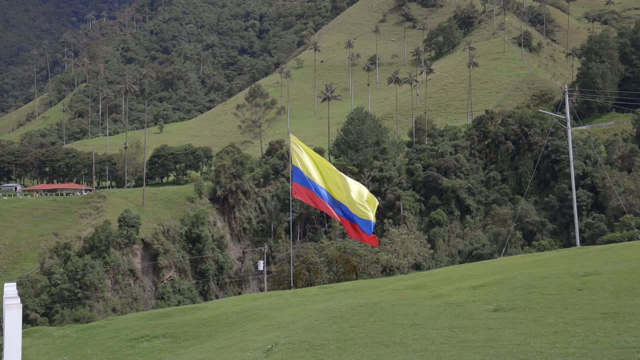 Colombian flag waving along the Cocora valley in scenic mountain landscape with palm trees. Colombian Countryside.