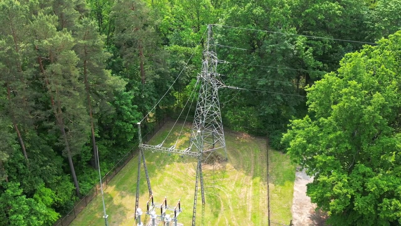 Electricity Pylon Rising Above Green Forest Canopy on Sunny Day