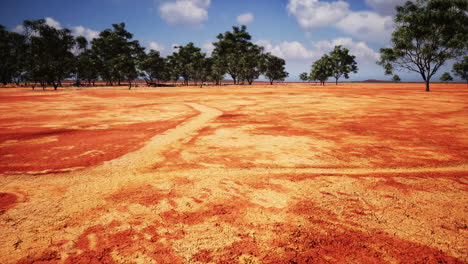 Tierra-Muy-Agrietada-Bajo-Un-Sol-Abrasador