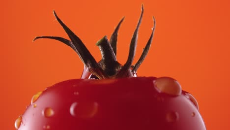 close-up of a wet tomato