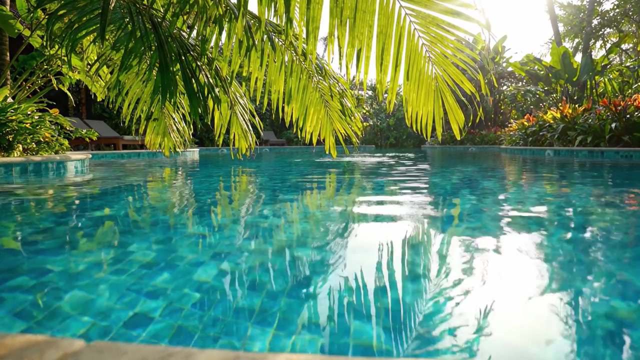 Ruhige Pool-Oase, umgeben von üppigem Grün und tropischem Blattwerk, beleuchtet von goldenem Sonnenlicht, das sich auf dem stillen Wasser spiegelt