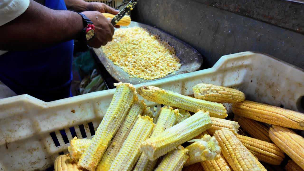 Harvesting Corn Kernels
