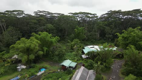 Exuberante-Sobrevuelo-Aéreo-Bajo-Del-Santuario-De-La-Naturaleza-En-La-Isla-Grande-De-Hawaii