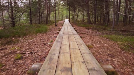 aerial dolly out revealing a pleasant and narrow wooden plank walk through the interior of a dense forest in daylight