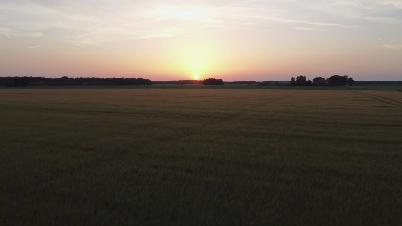 オランダのゴールデン・サンセット・フリースランド 緑の農地の上空