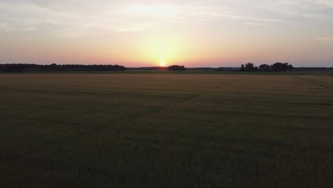 Golden-sunset-Friesland-in-the-Netherlands-over-green-farmland,-aerial