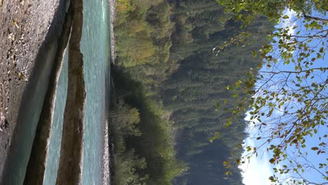 vista vertical de un tronco de árbol acostado en la orilla del río en verano