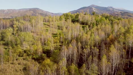 4k cinematic drone stock footage flying over a colored beautiful forest in autumn in Romania